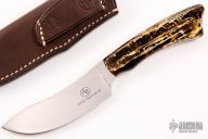  Grazer - Springbok - Snakewood