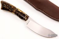  Grazer - Springbok - Snakewood