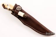 Fin and Feather - Warthog tusk