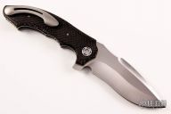 Large Arc Angel Flipper