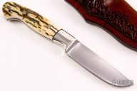 Drop Point Hunter - Mammoth Ivory