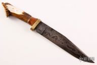 Damascus Bowie - Eagle 