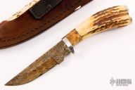 Hunter - Stag w/ Birds eye pattern