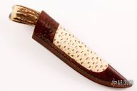 Hunter - Stag w/ Birds eye pattern