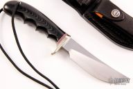 Model 20 - Ward Gay Special