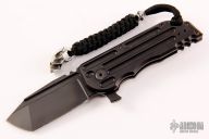 Black Stallion WarHorse