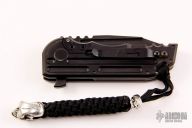 Black Stallion WarHorse