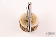 Dragonfly #22of25 - Santa Fe Stoneworks