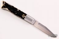 Jess Horn Tribute SF