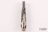 Jess Horn Tribute SF