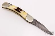 Damascus and Stag Lockback