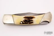 Damascus and Stag Lockback