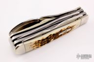 6354HB SS Case Hobo Knife - Amber Bone 