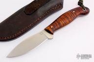 Jack Pine Special - Curly Maple