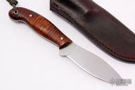 Jack Pine Special - Curly Maple