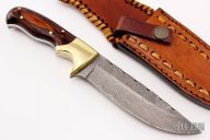Damascus Fixed Blade