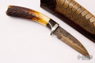 Wharncliffe - Stag w/ Birds EyePattern Damascus