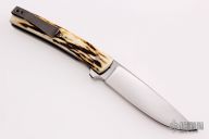 "FR" Linerlock - Stag