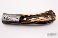 Damascus and Stag D/A Auto