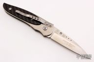 2002 Viele Wasp Limited Edition