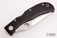 C34P Jess Horn - Micarta