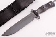 Team Gemini - Battle Grade SR101