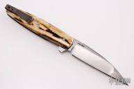 Wharncliffe Linerlock Flipper - Stag