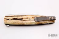 Wharncliffe Linerlock Flipper - Stag