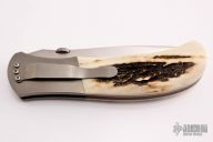 Tanto Linerlock - Stag