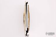 Mini Moose - Mammoth Ivory