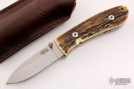 DK-FHS - Bark Mammoth Ivory