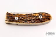 DK-FHS - Bark Mammoth Ivory