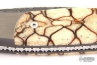 Small Automatic - Damascus & Tiger Coral