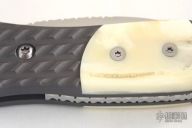 Butter Bean - Warthog Ivory